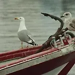 Vendégház Nuevo Norat Sanxenxo