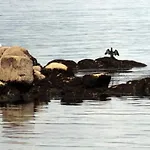 Nuevo Norat Sanxenxo