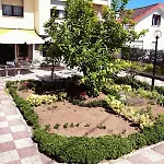 Nuevo Norat 3*