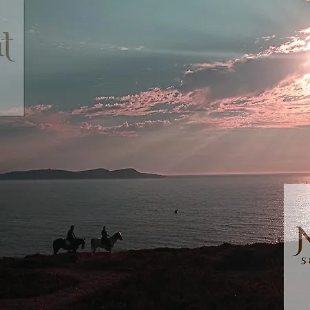 Pensión Nuevo Norat