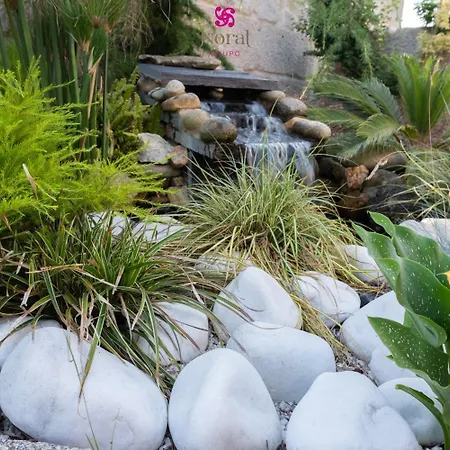 Nuevo Norat Pensión Sanxenxo