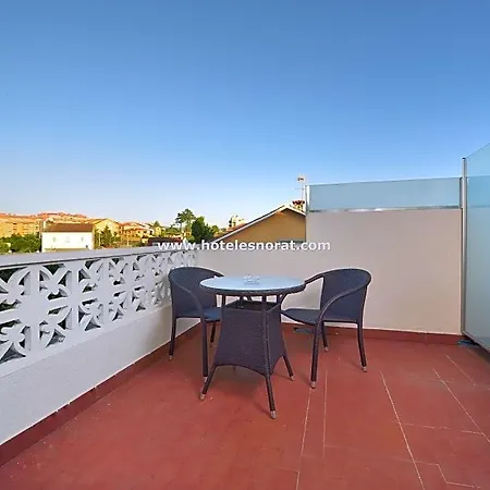 Guest house Nuevo Norat 3*