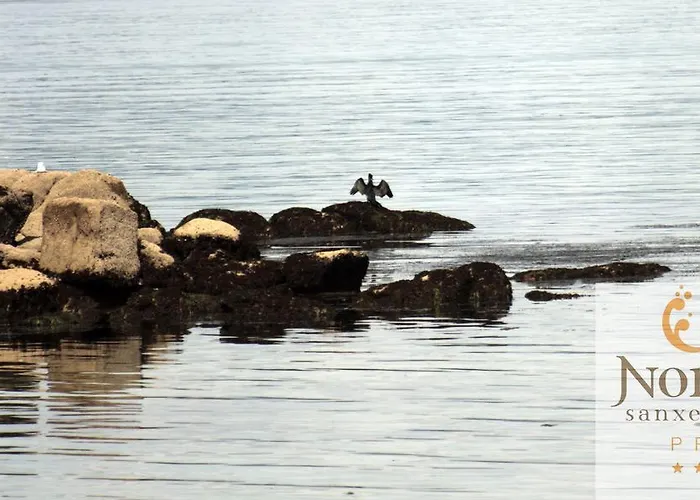 Nuevo Norat Sanxenxo