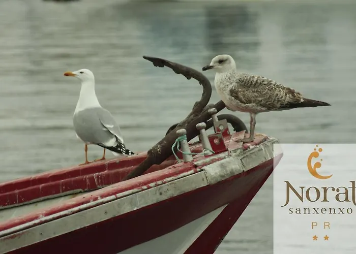 Πανσιόν Nuevo Norat Sanxenxo