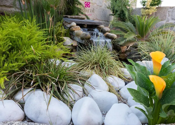 Nuevo Norat Πανσιόν Sanxenxo