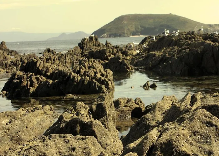 Πανσιόν Nuevo Norat 3*