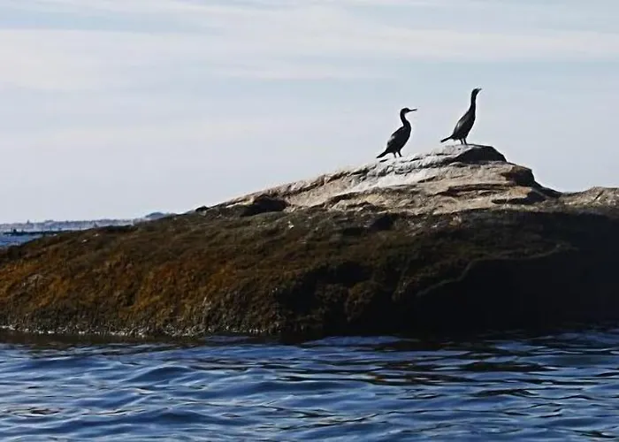 Πανσιόν Nuevo Norat 3*