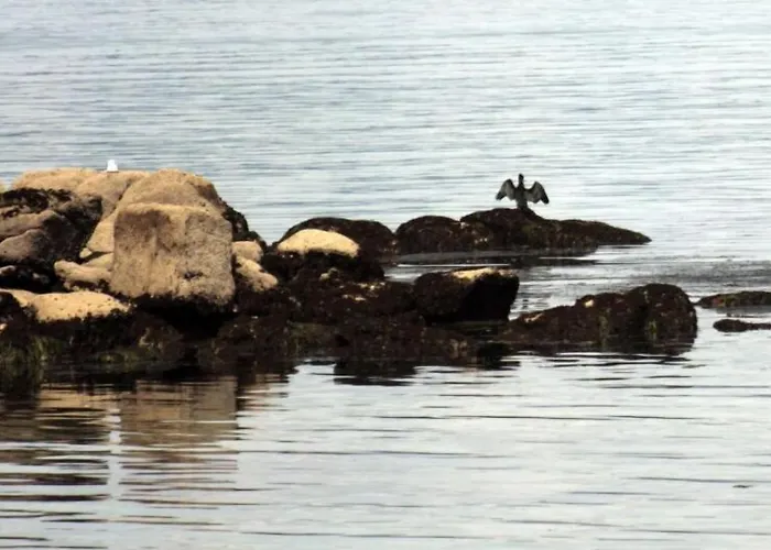 Nuevo Norat Sanxenxo